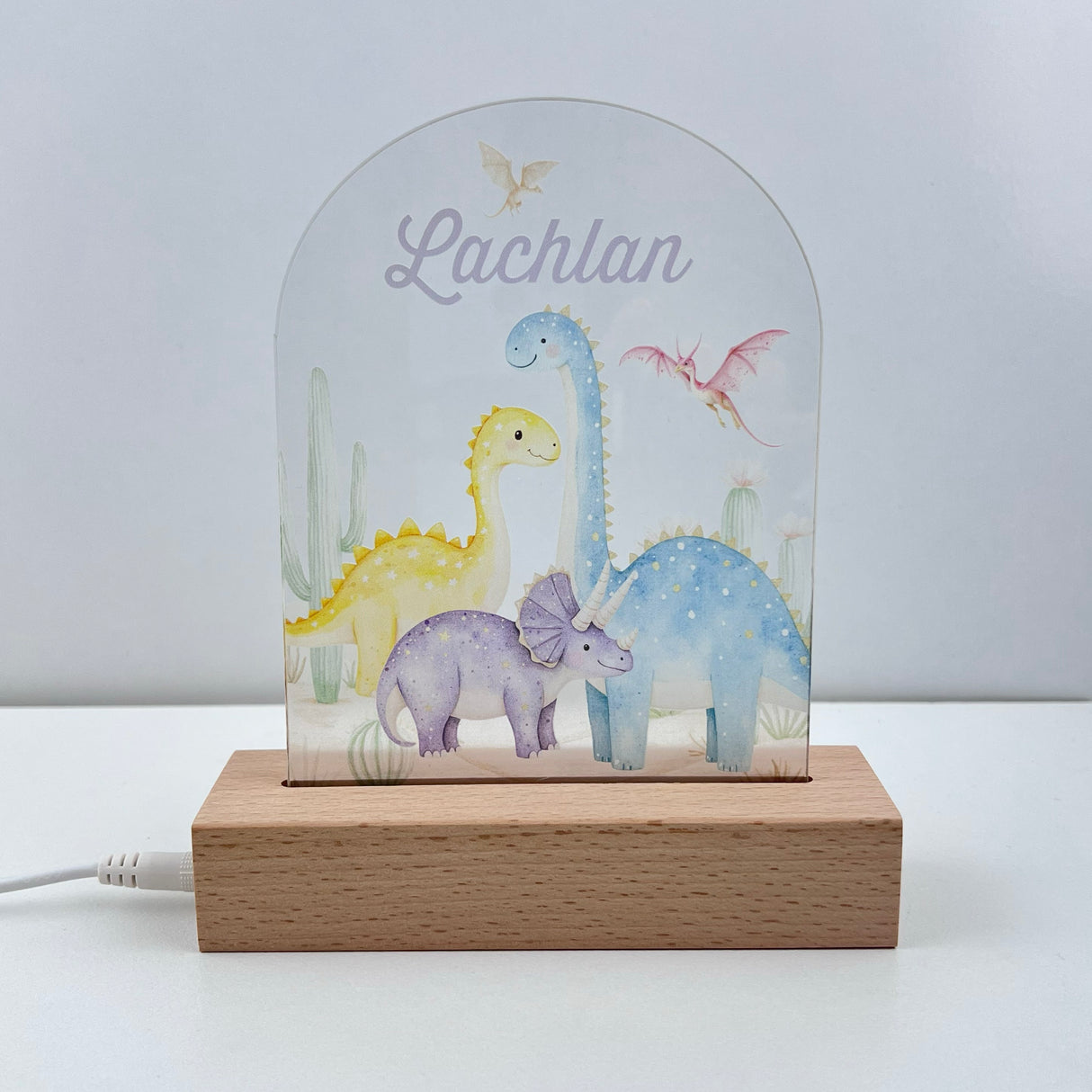 Dinosaurs Personalised Night Light