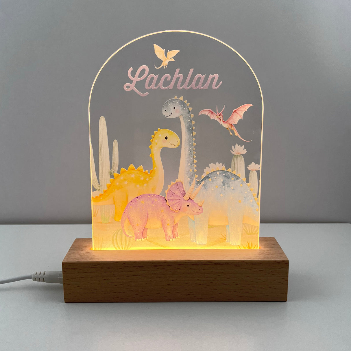 Dinosaurs Personalised Night Light