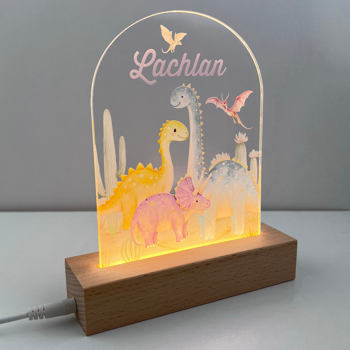 Dinosaurs Personalised Night Light
