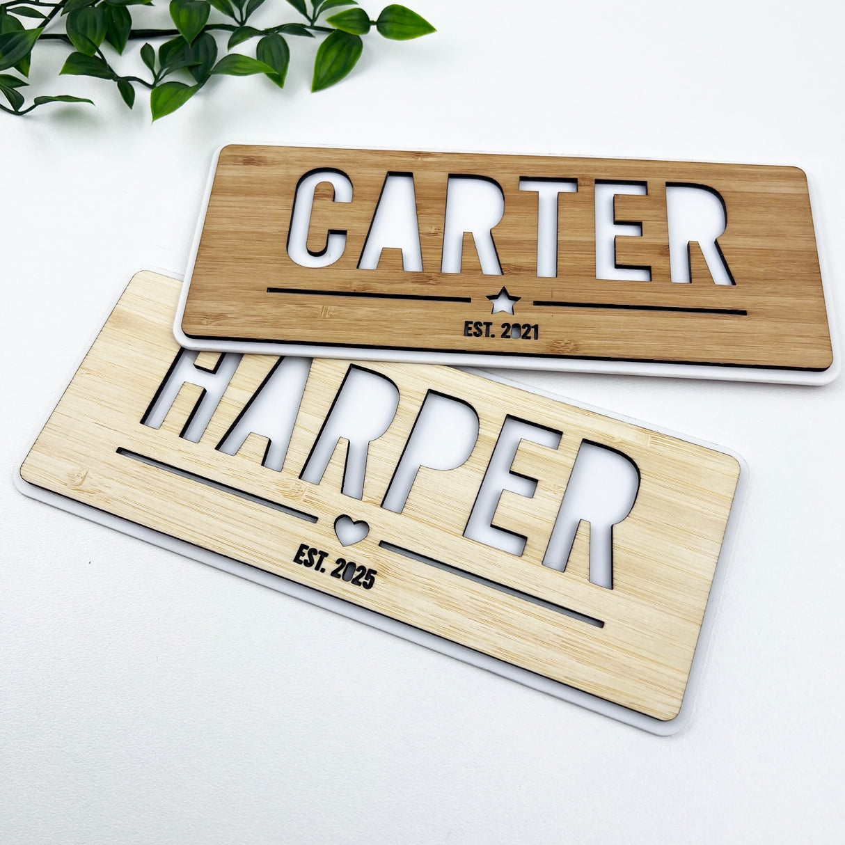 Personalised Double Layer Landscape Name Plaque (2 sizes, 2 colours)