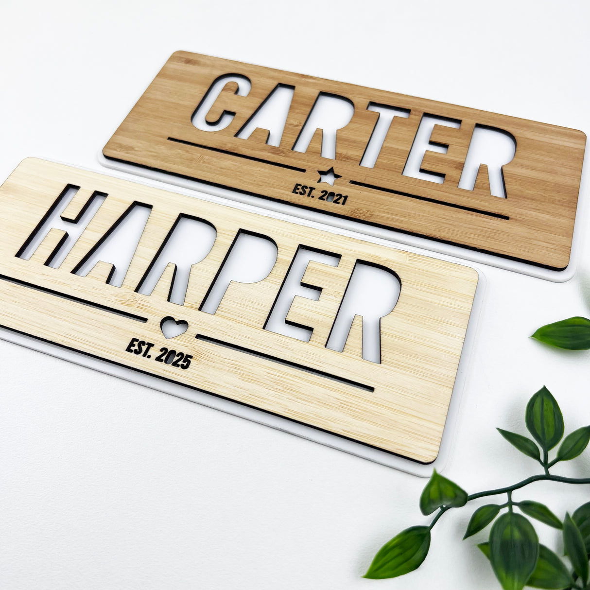 Personalised Double Layer Landscape Name Plaque (2 sizes, 2 colours)