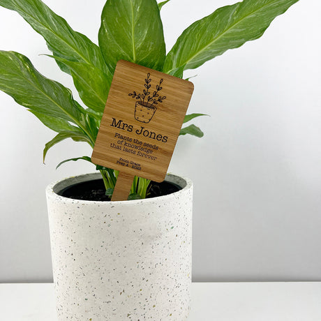 Thank You Teacher Planter Stick (4 designs)