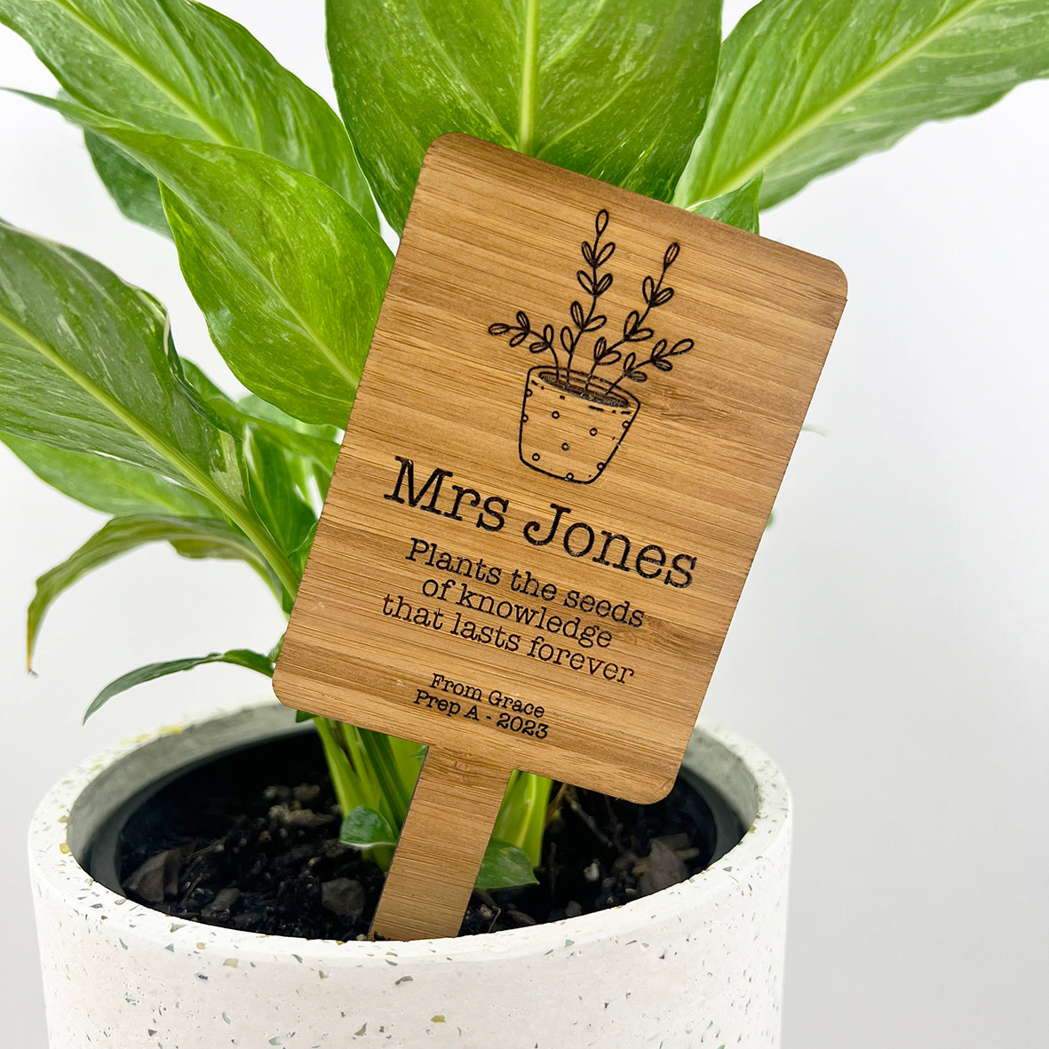 Thank You Teacher Planter Stick (4 designs)
