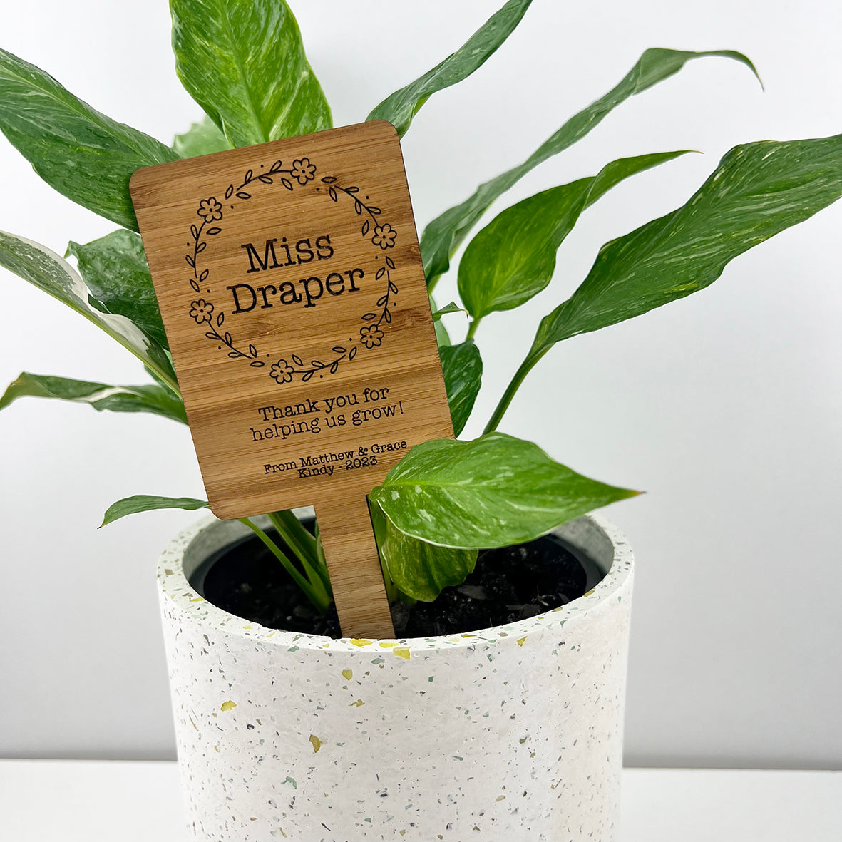 Thank You Teacher Planter Stick (4 designs)