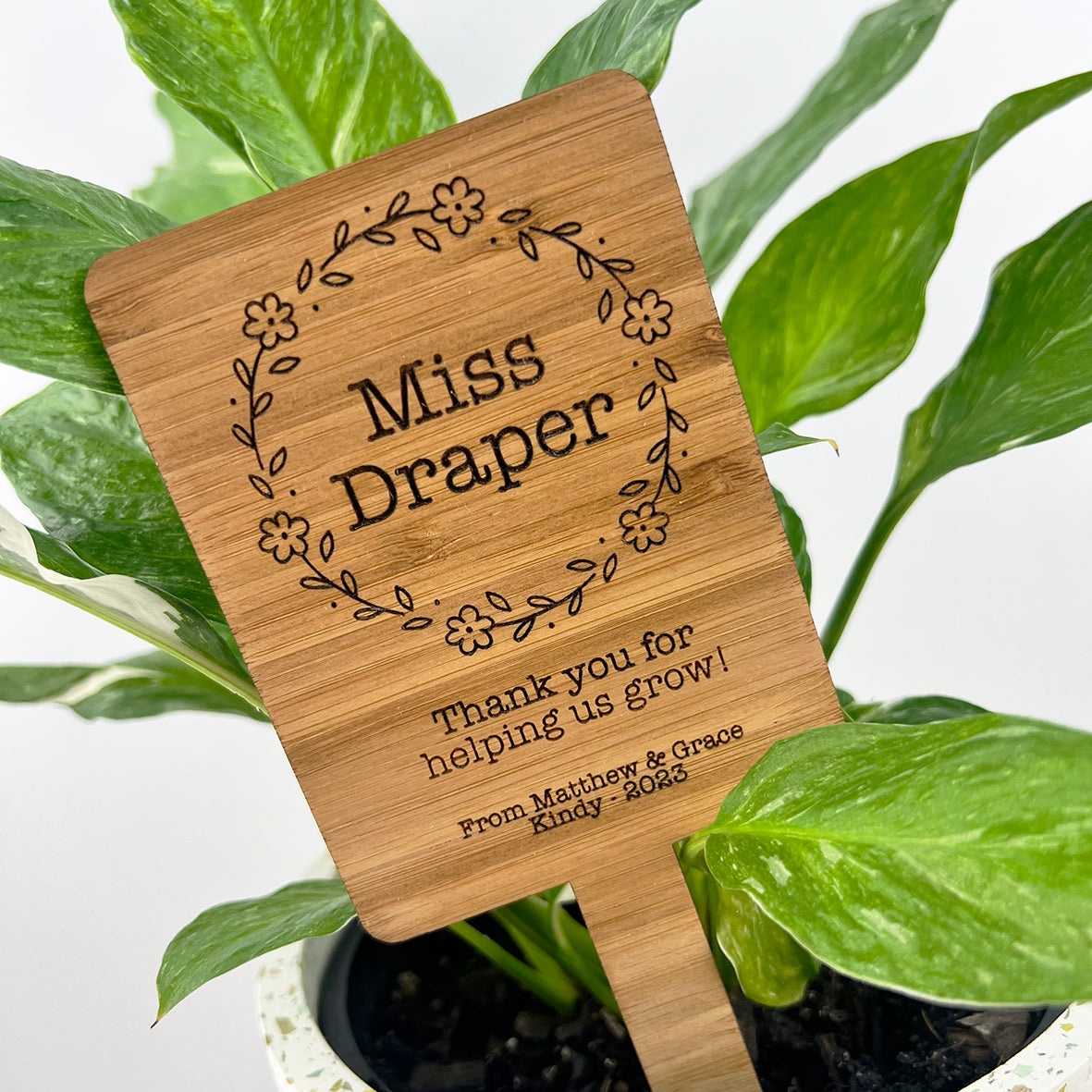 Thank You Teacher Planter Stick (4 designs)