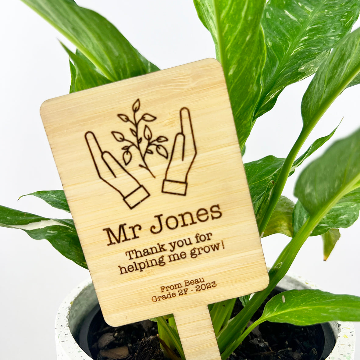 Thank You Teacher Planter Stick (4 designs)