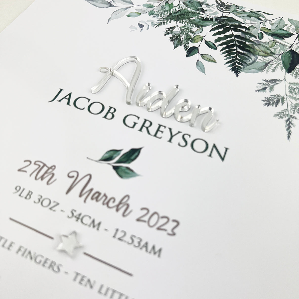 Mirror (Silver) Rainforest Vines 3D Personalised Birth Print