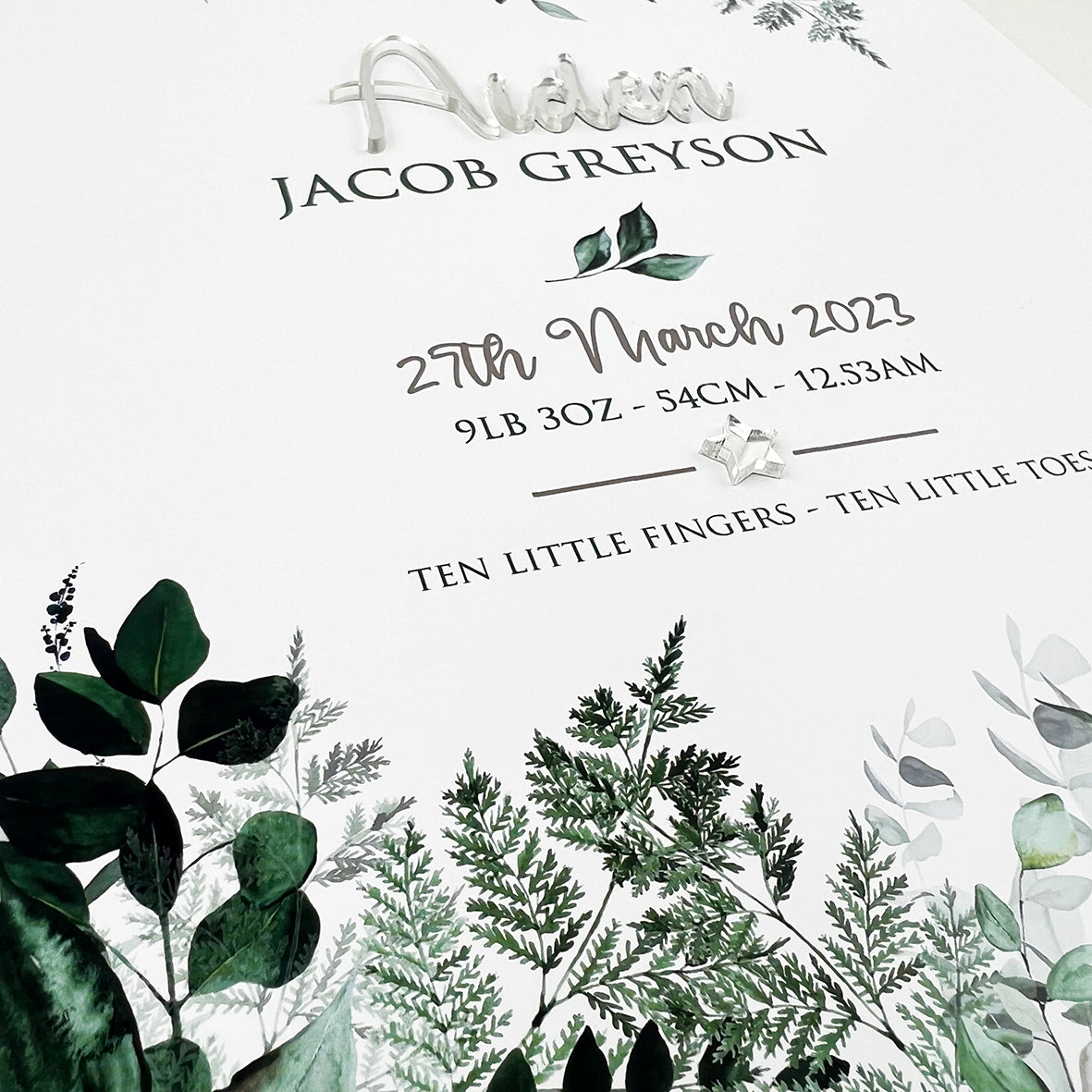 Mirror (Silver) Rainforest Vines 3D Personalised Birth Print