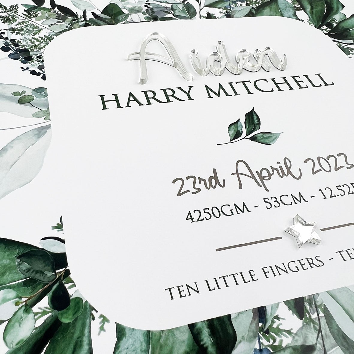 Mirror (Silver) Rainforest Spray 3D Personalised Birth Print