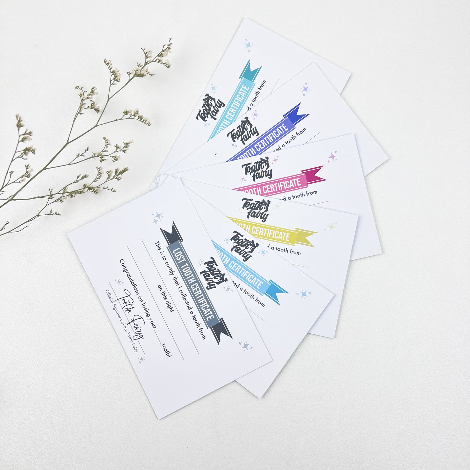 Tooth Fairy Certificates (6 colour options)