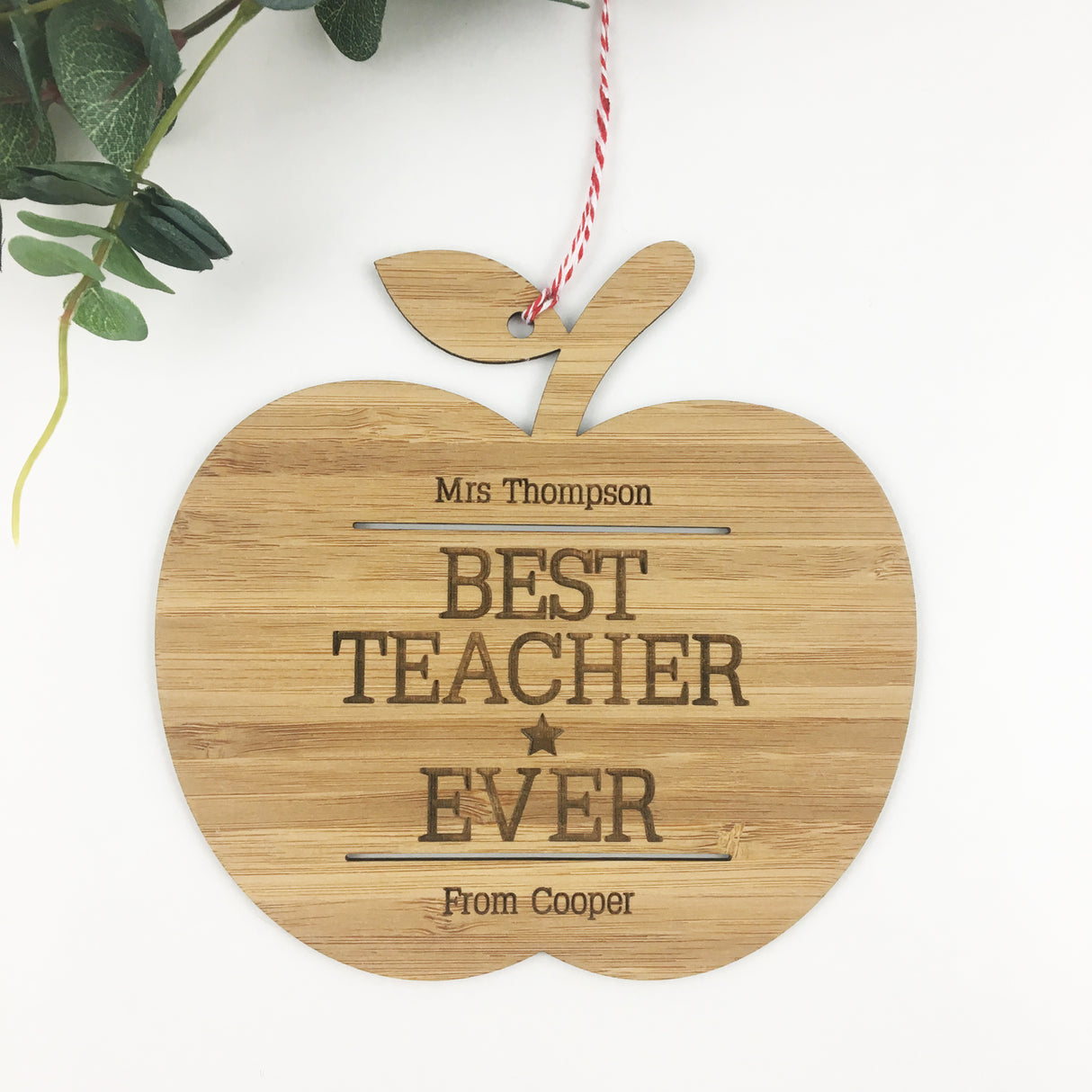 Best Teacher Ever Wall Hanging