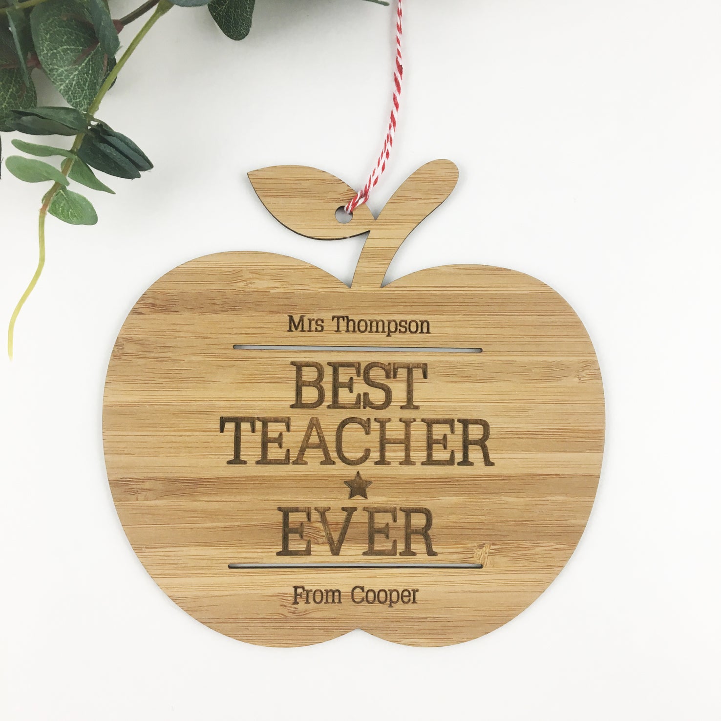 Best Teacher Ever Wall Hanging
