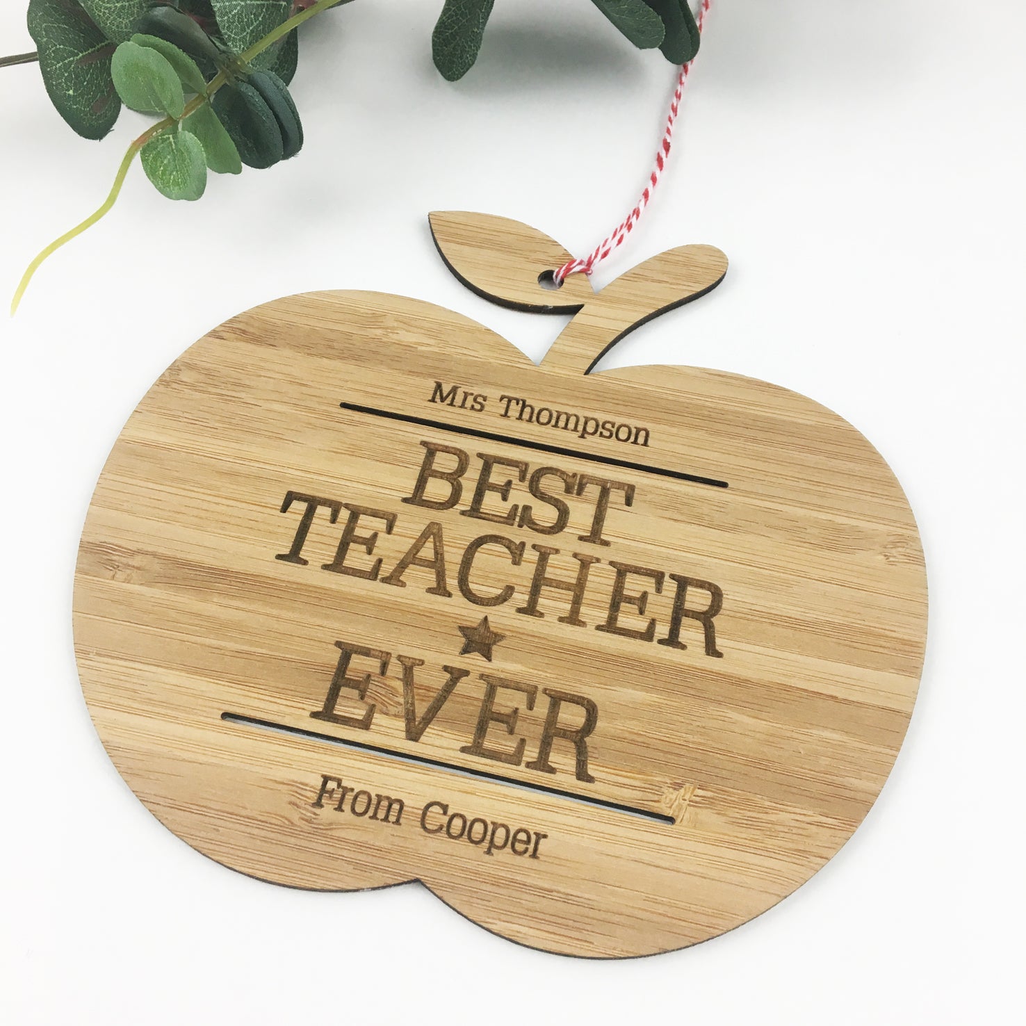 Best Teacher Ever Wall Hanging