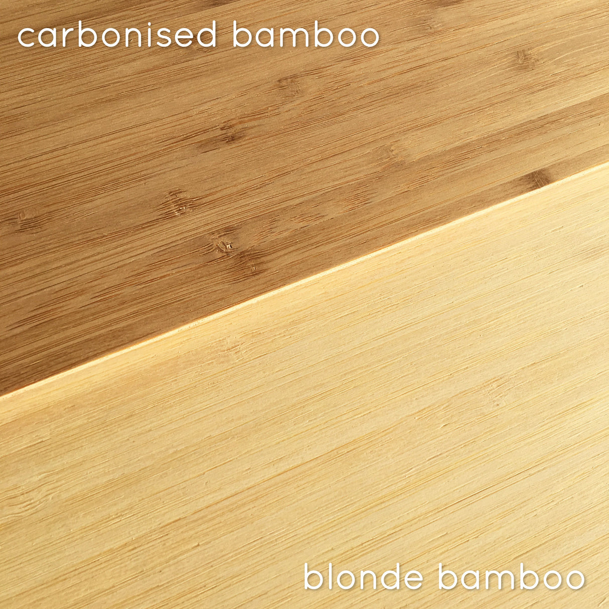 Bamboo (2 colour options) Rainforest Spray 3D Personalised Birth Print