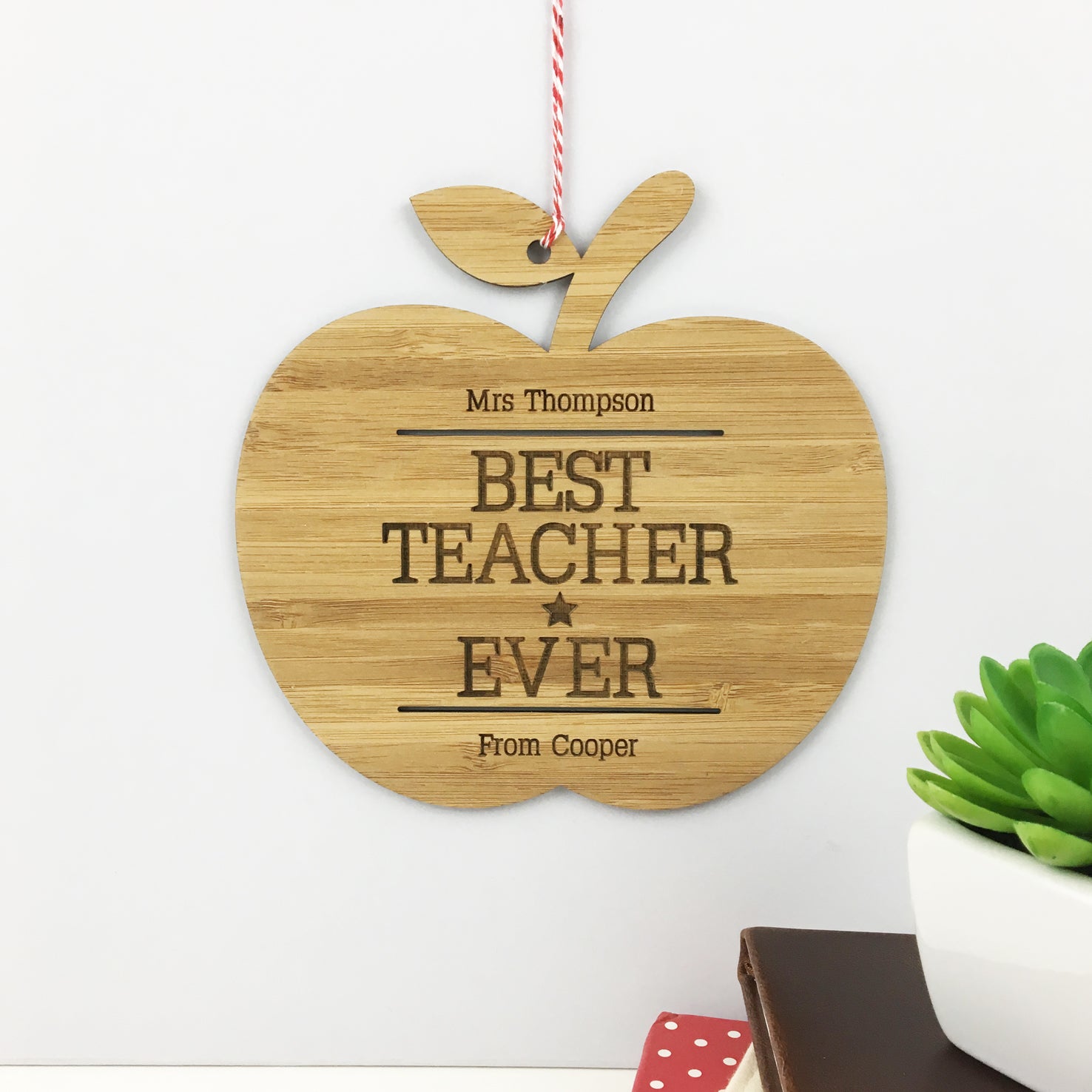 Best Teacher Ever Wall Hanging