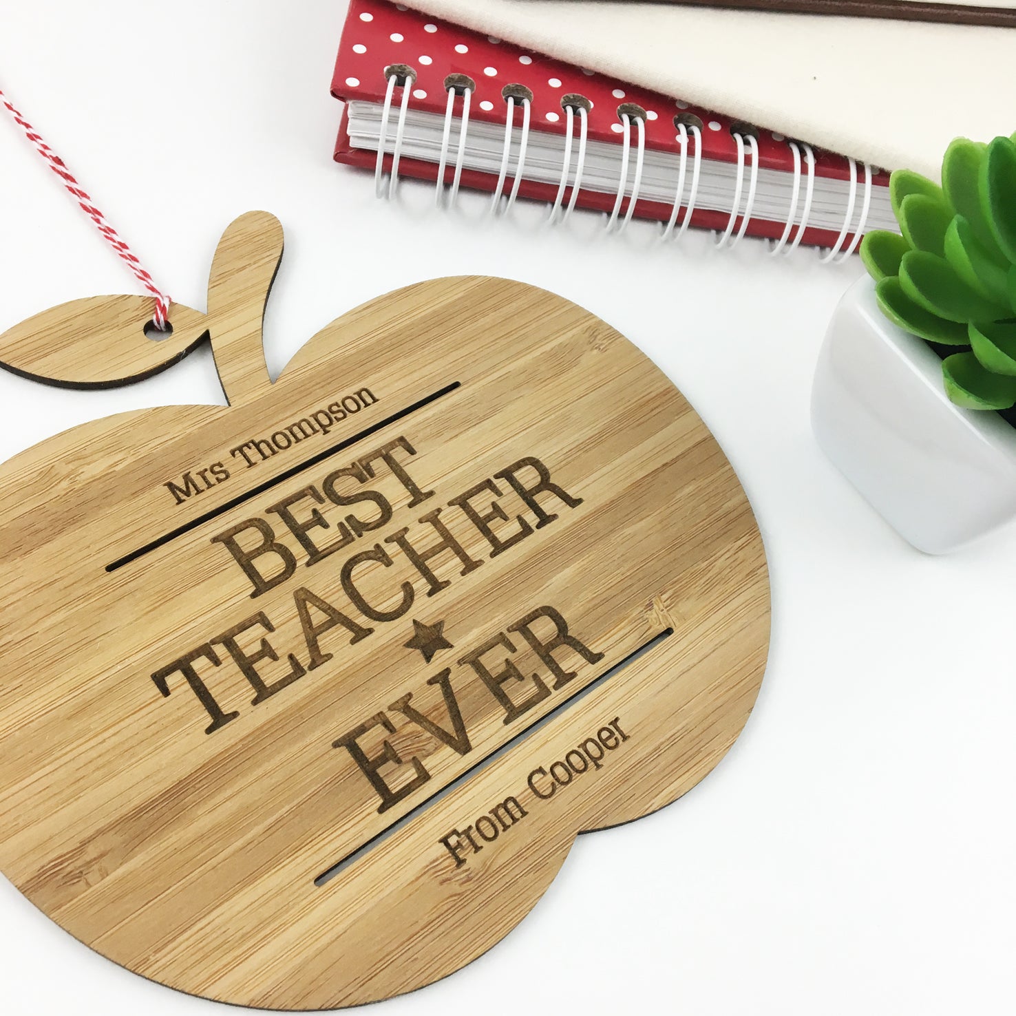 Best Teacher Ever Wall Hanging