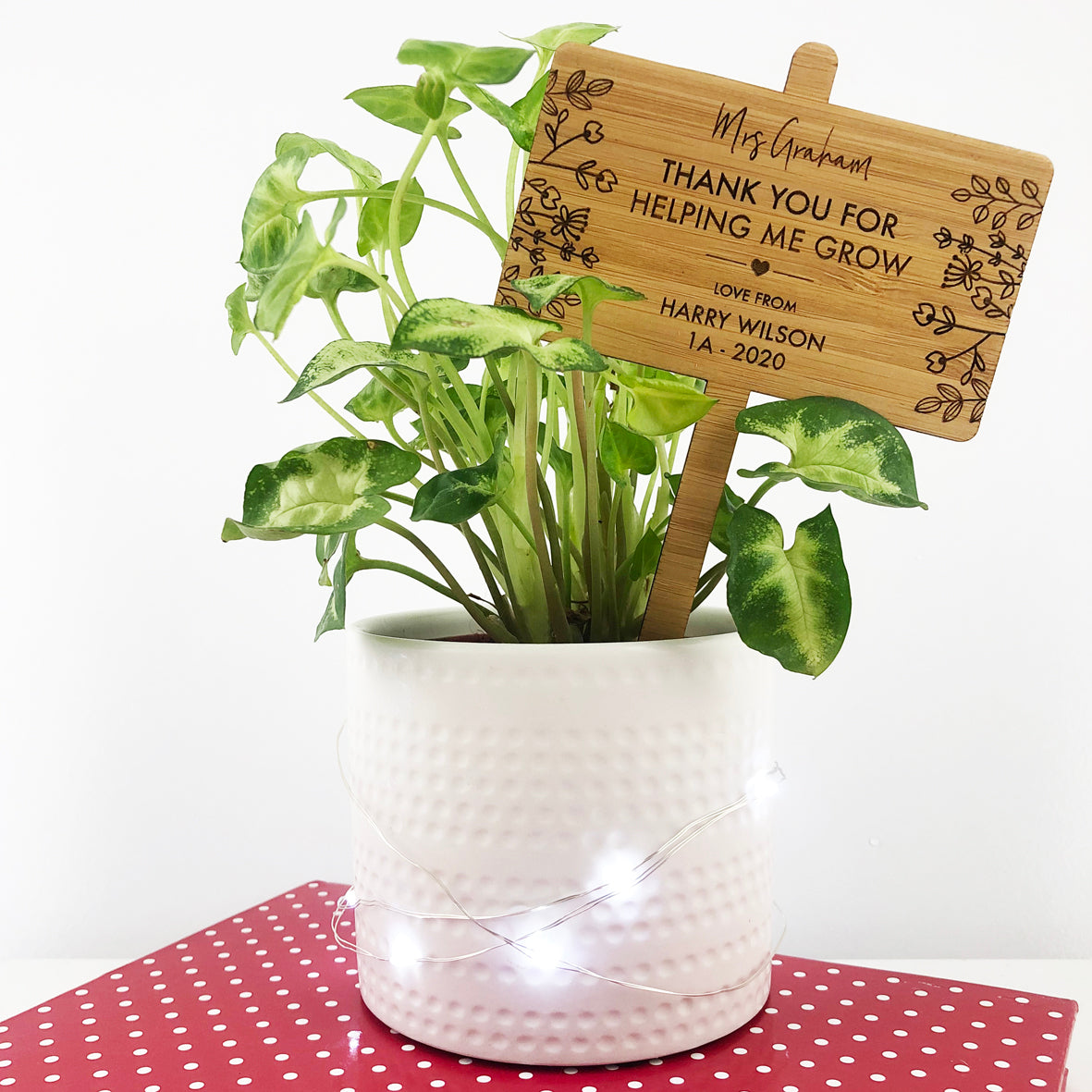 Botanical Bamboo Planter Stick