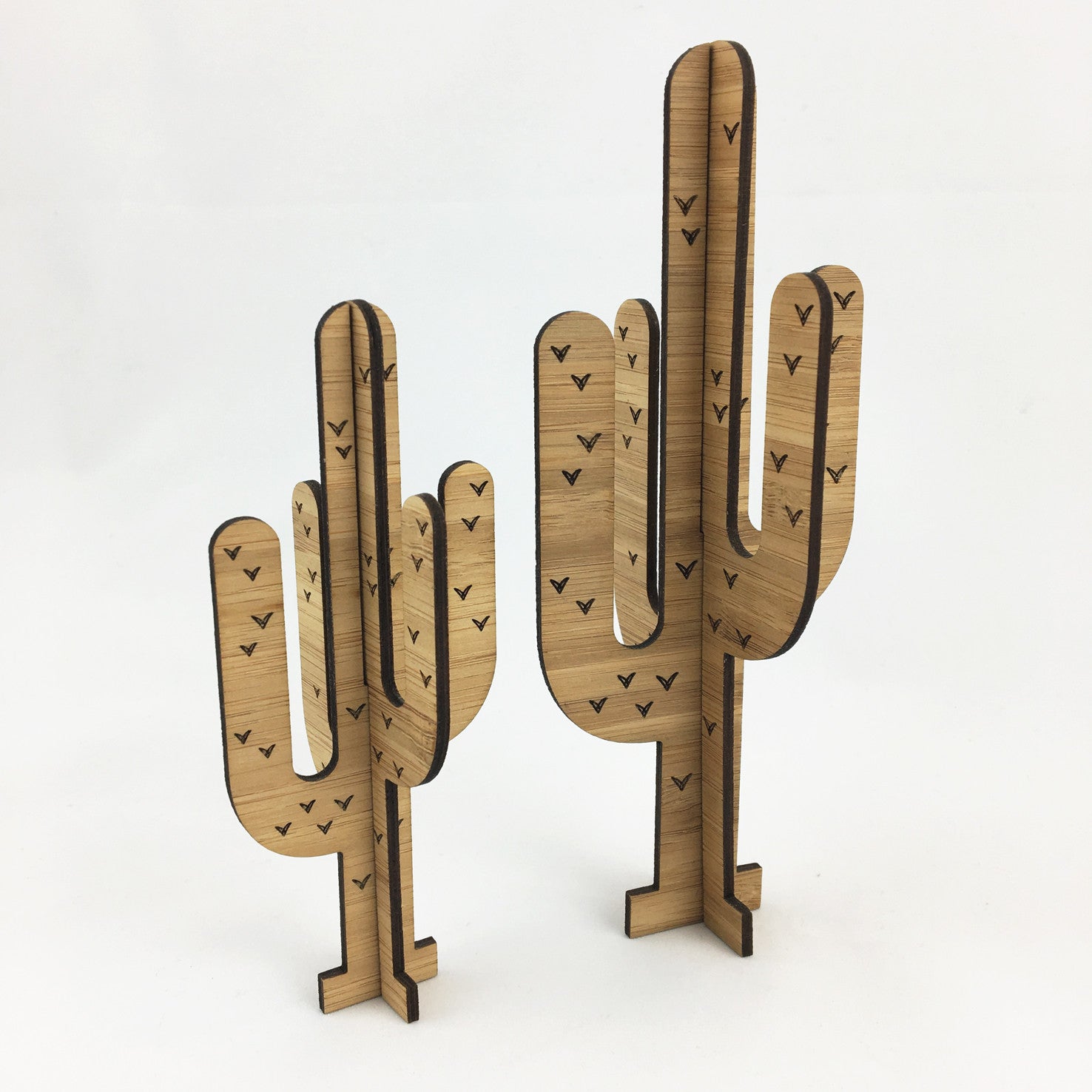 3D Cactus - Set of 2