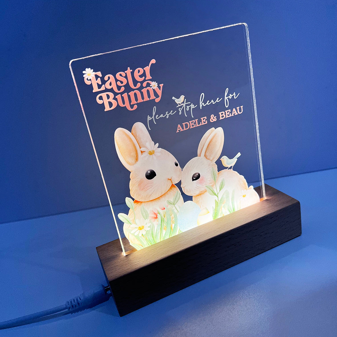 Cute bunny night shop light