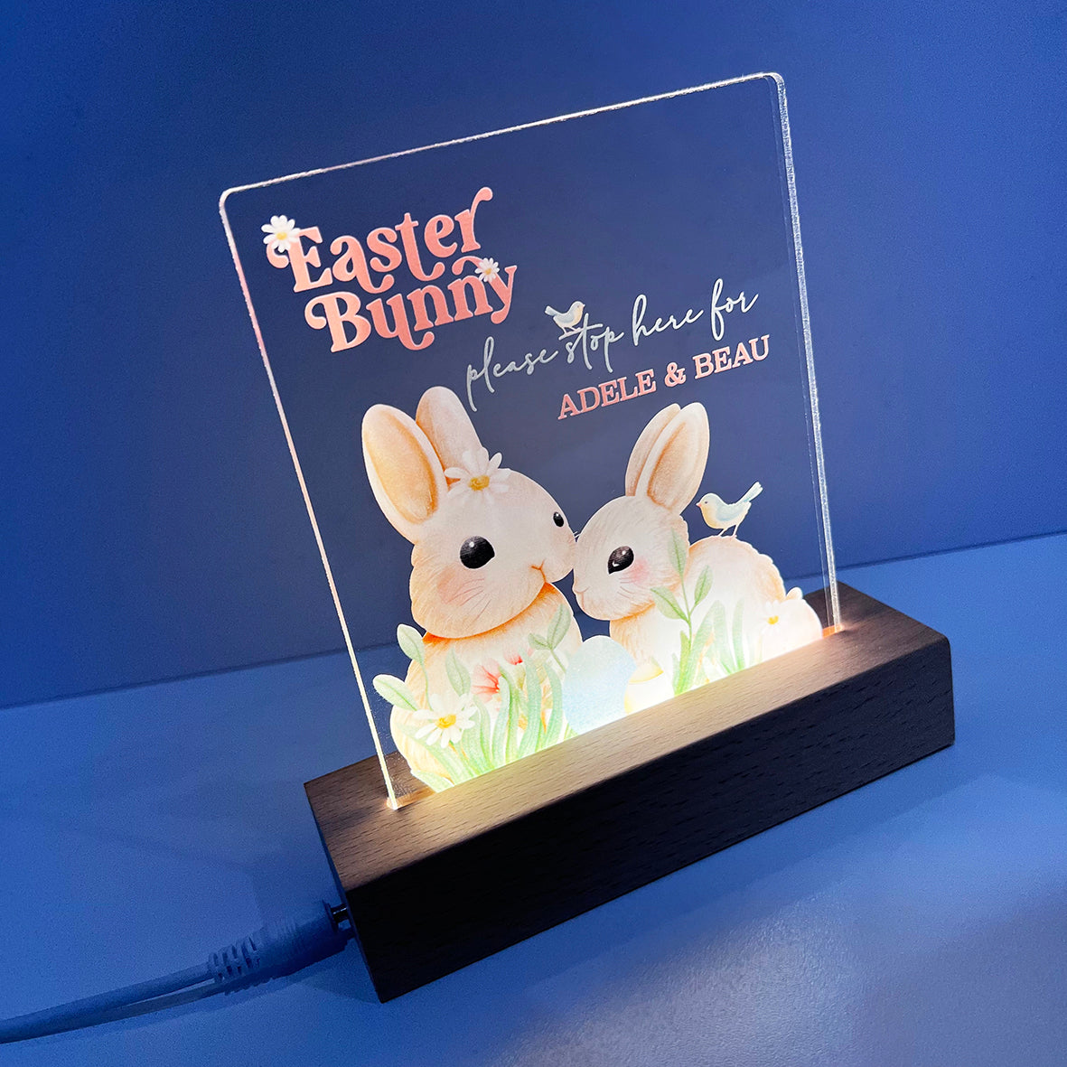 Cute Easter Bunnies Personalised Night Light