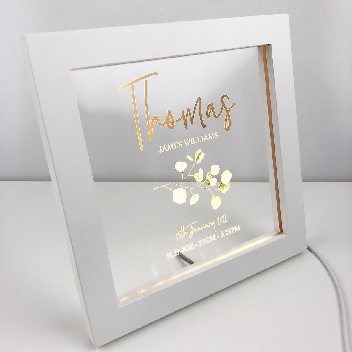Eucalyptus Branch Personalised Light Frame