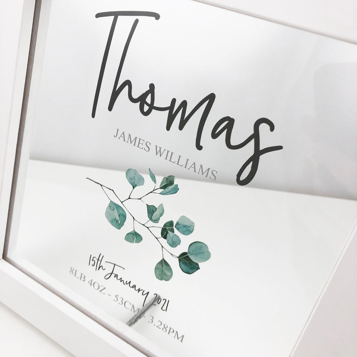 Eucalyptus Branch Personalised Light Frame