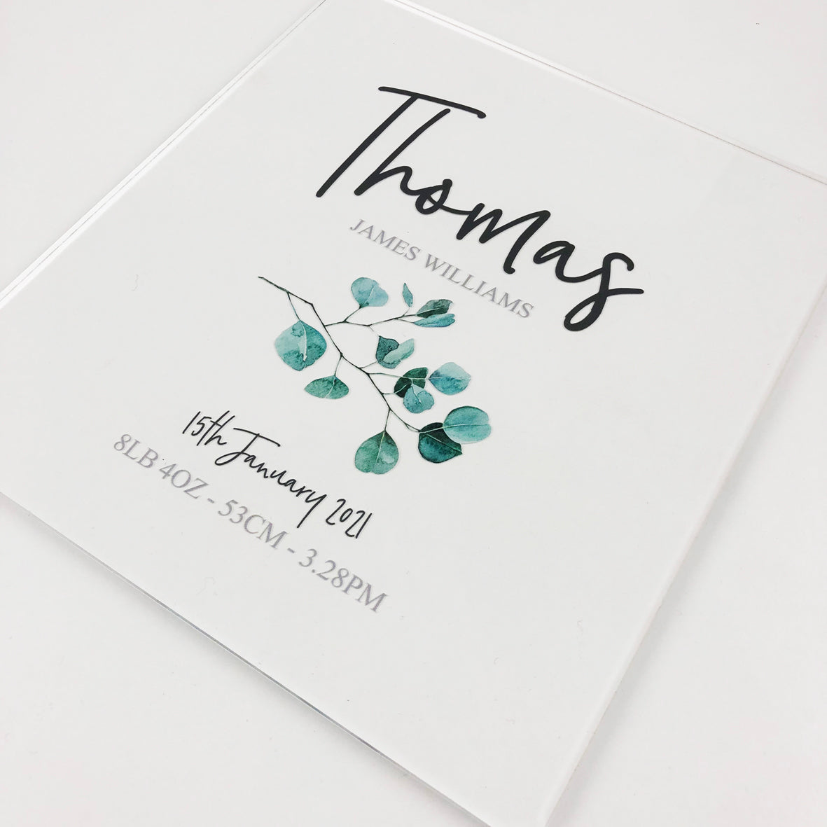 Eucalyptus Branch Personalised Light Frame