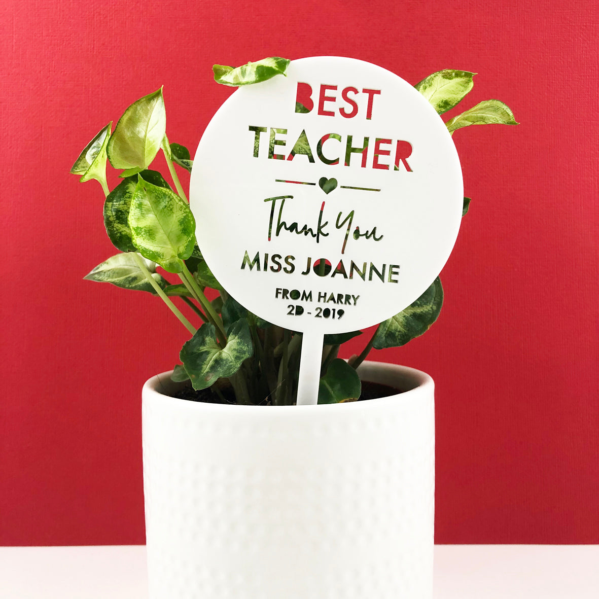Mini Teacher Thank You Planter Stem