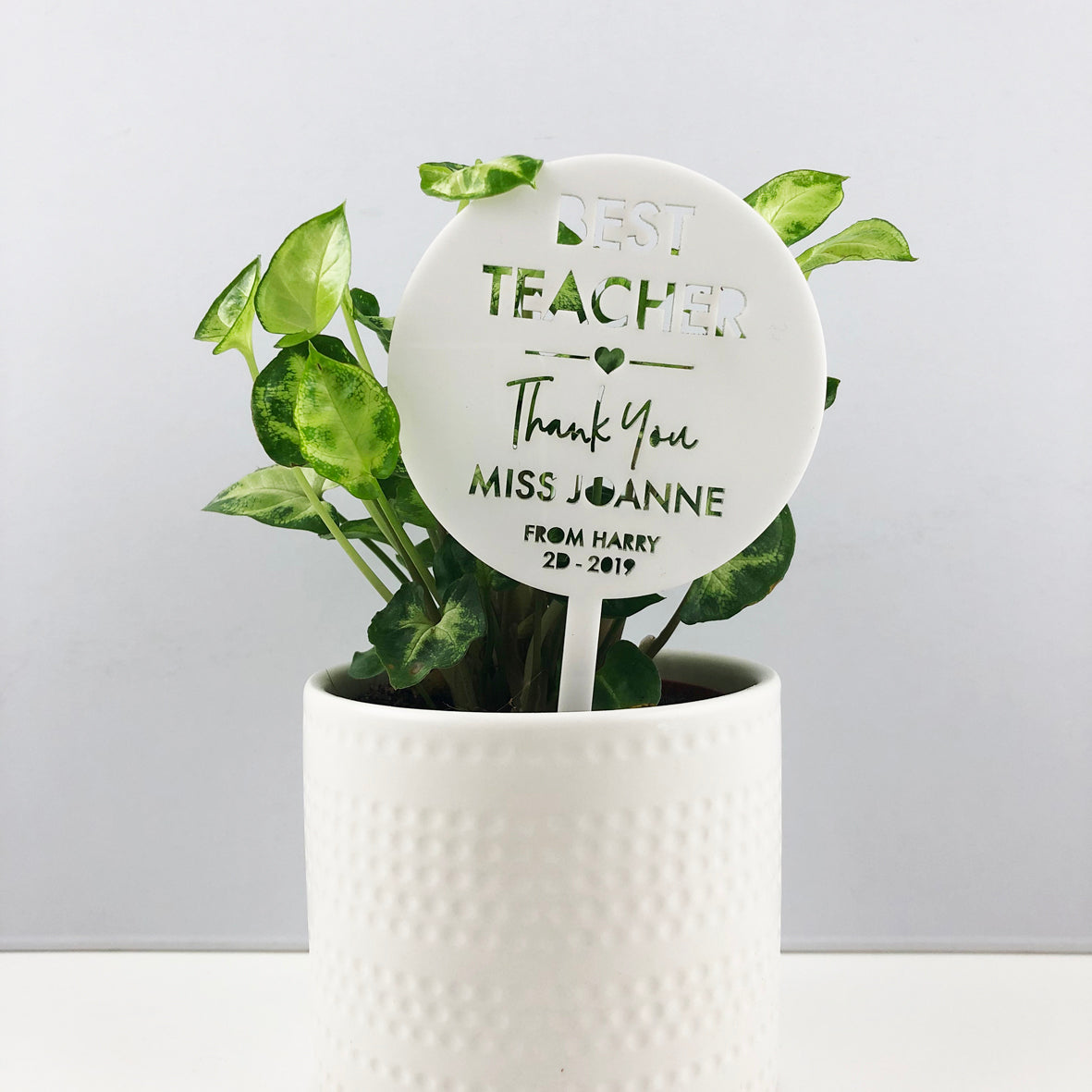 Mini Teacher Thank You Planter Stem