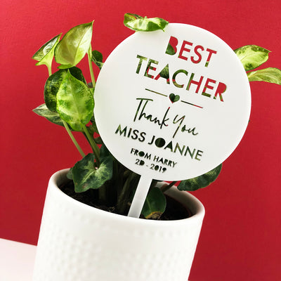 Mini Teacher Thank You Planter Stem