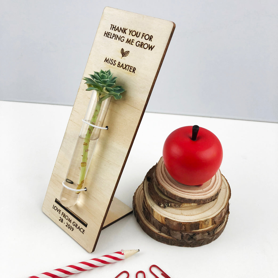 Personalised Teacher Test Tube Stand