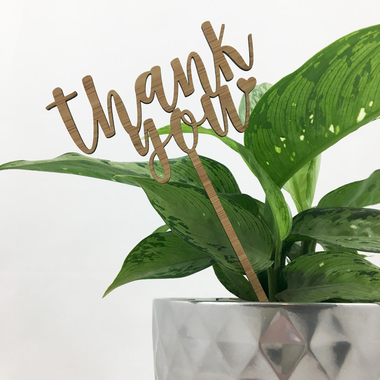 Thank You Stem