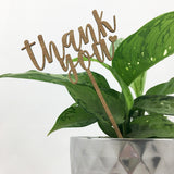 Thank You Stem