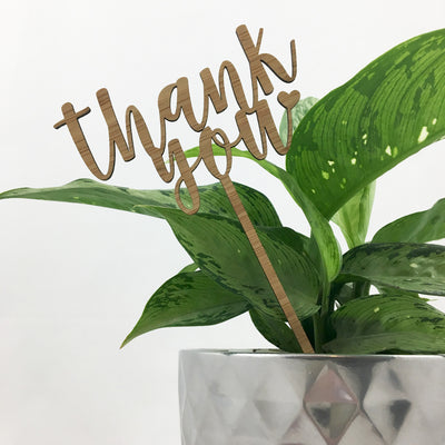 Thank You Stem