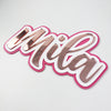 Triple Layer Acrylic Name Plaques (2 sizes)
